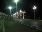 IMG_1684_resize.JPG
