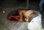 ogrish-dot-com-man_killed_in_machete_attack_08.jpg