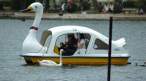 Swan ship.jpg