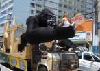 Gorilla.jpg