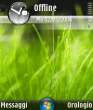 Vista N80.gif