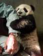 Hug.jpg