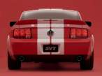 2006 Ford Shelby Cobra GT500 (2).jpg