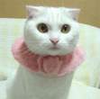 Lady.jpg