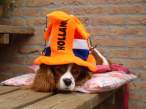 Holland fan.jpg