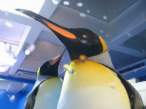 Penguin.jpg