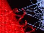 Strings attached.jpg