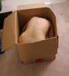 Boxed art [18+].jpg