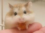 Feeding.jpg