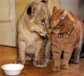 Love and sharing.jpg