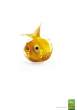 Fish.jpg