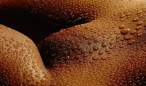 Drops [18+].jpg
