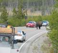 Problem on the road.jpg