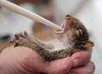 Feeding time.jpg