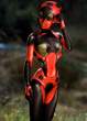 Lady bug.jpg