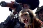 250px-Jackmonkey.jpg
