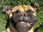Smile.jpg