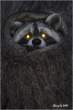 Look.jpg