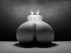 Ass [18+].jpg