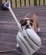 Bucket.jpg