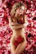 A_Bed_of_Petals_by_PB_HASS.jpg