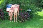God bless USA [18+].jpg