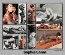 sophia_loren1124.jpg