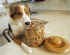 Cookies.jpg