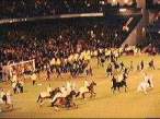 chelseavmillwall.jpg