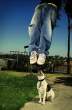 Hanging.jpg