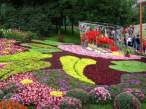 Garden.jpg