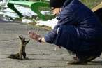 Gimme five.jpg