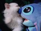 Bite.jpg