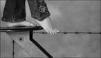 Walk on barb wire.jpg
