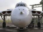 Nose.jpg