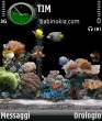 AcquarioV2_by_babi.jpg