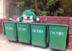 Trashed bunny.jpg