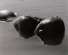 Water [18+].jpg