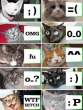 Cat Emotions.jpg