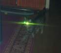 Enter the Matrix.jpg