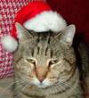 Tired Santa.jpg
