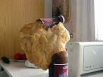 frozen-beer.jpg