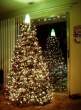 Beer xmas.jpg
