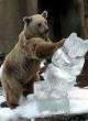 Rampaging Bear.jpg