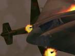 2464140.jpg