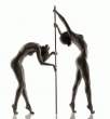 Pole [18+].jpg