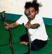 Snakes.jpg