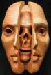 Head.jpg