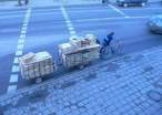 Street.jpg