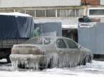Cold day.jpg